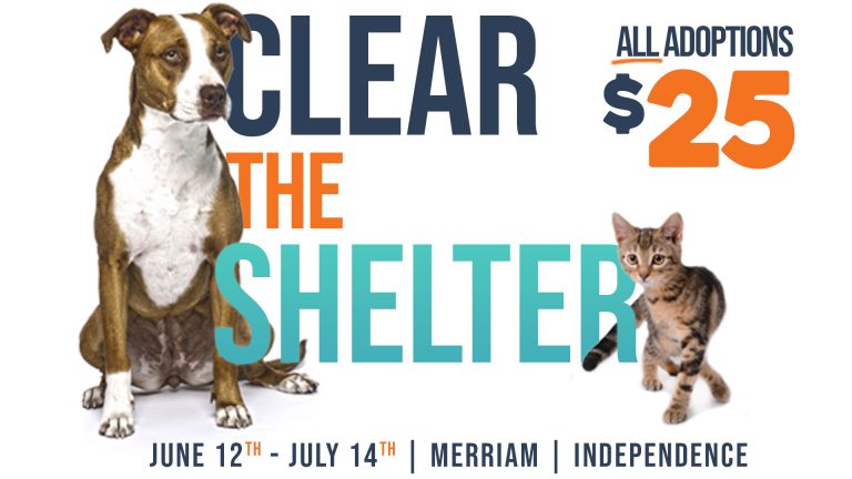 Clear The Shelter $25 Adoption Special