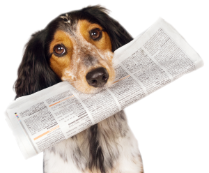 Great Plains SPCA In The News Virtual Media Kit