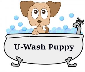 u wash puppy