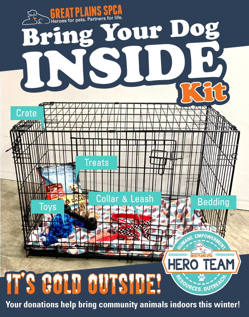 Bring Your Pets Inside Kit
