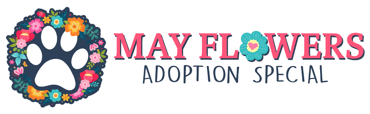 May Flowers Adoption Special
