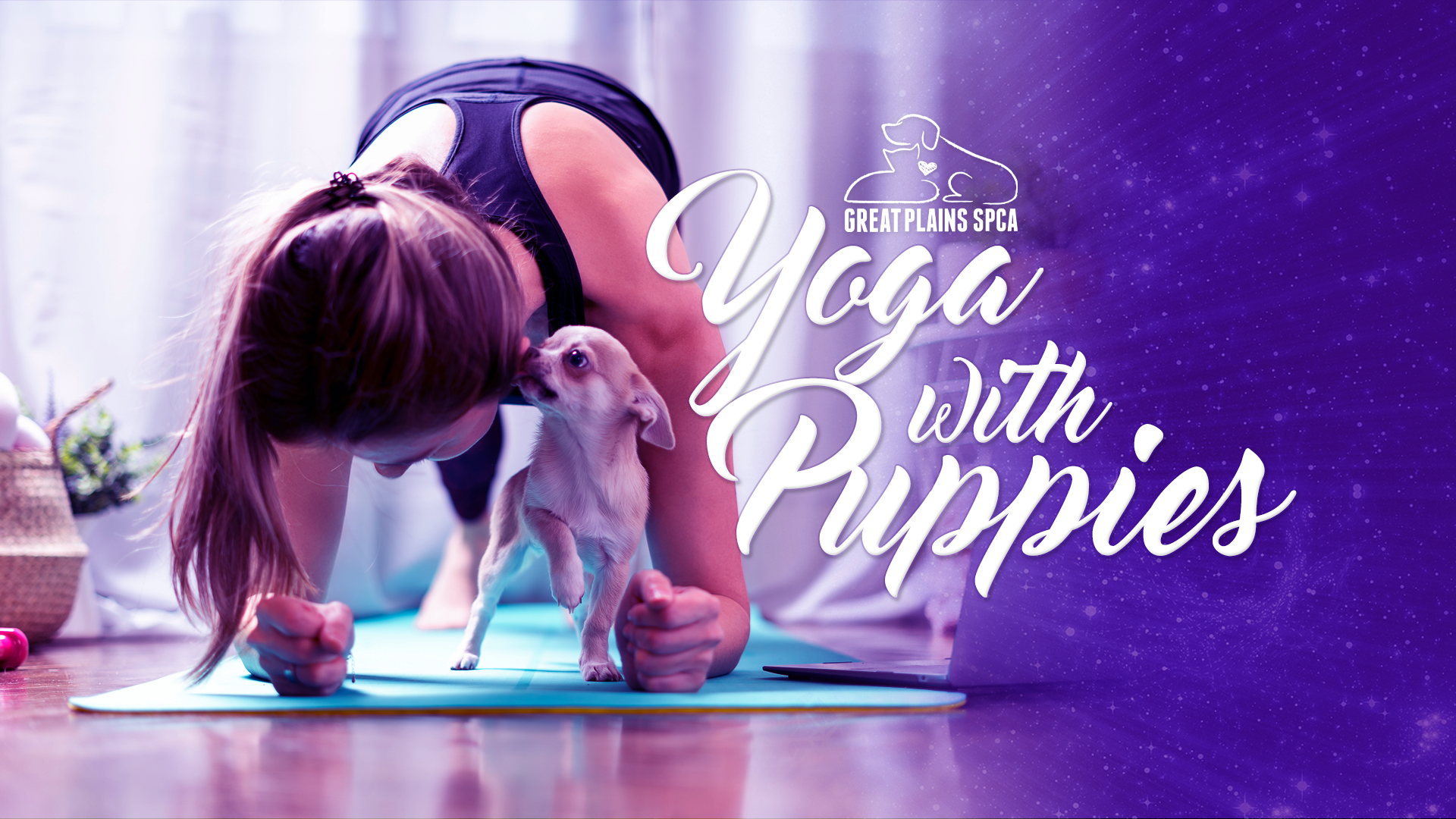 Yoga with Puppies