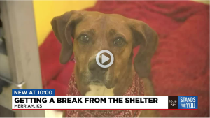 KCTV5 Shelter Piece 05 2022