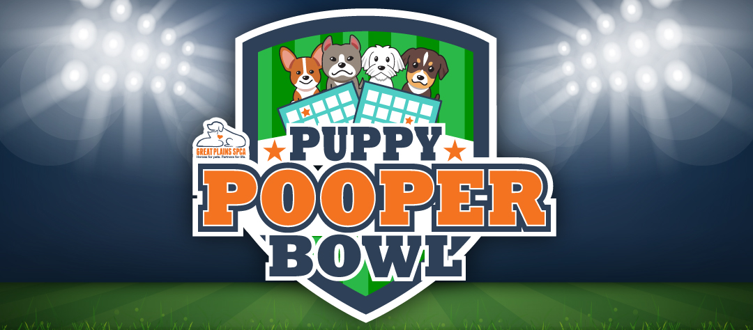 Puppy Pooper Bowl