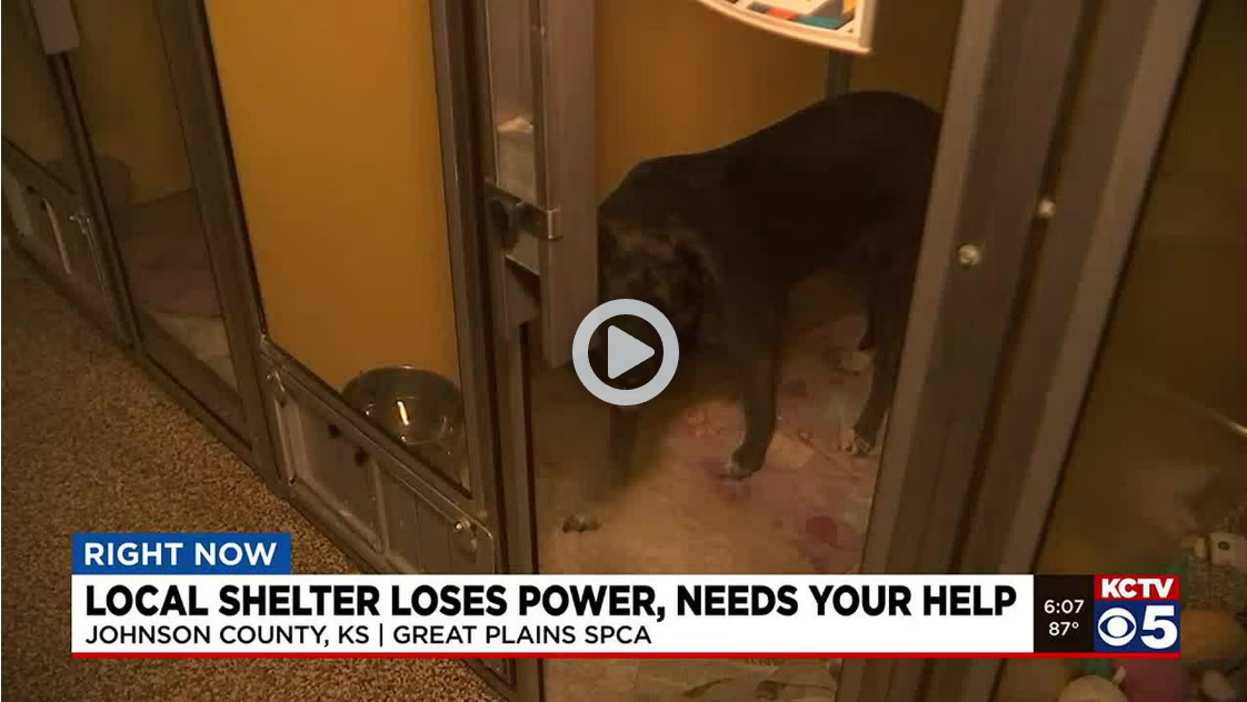 Great Plains SPCA seeking help after power outage