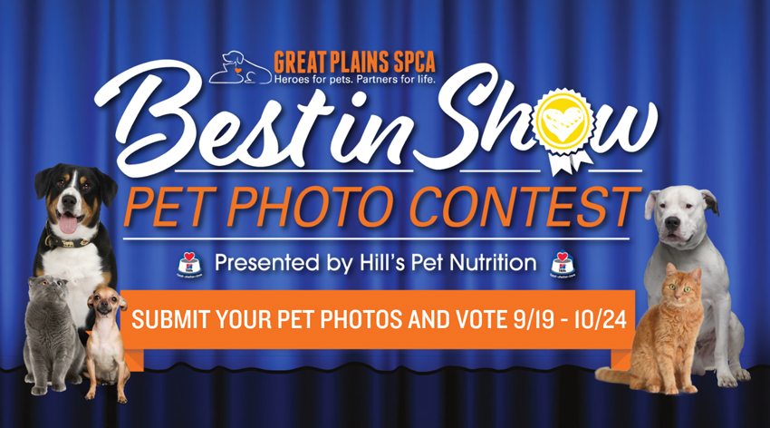 Best In Show Pet Photo Contest