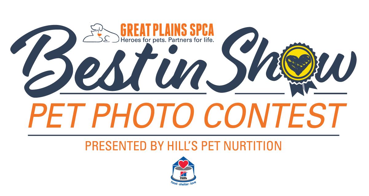 Best In Show Presented by Hill's Pet Nutrition