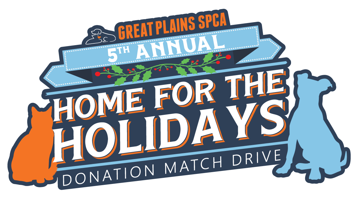 Home for the Holidays 2023