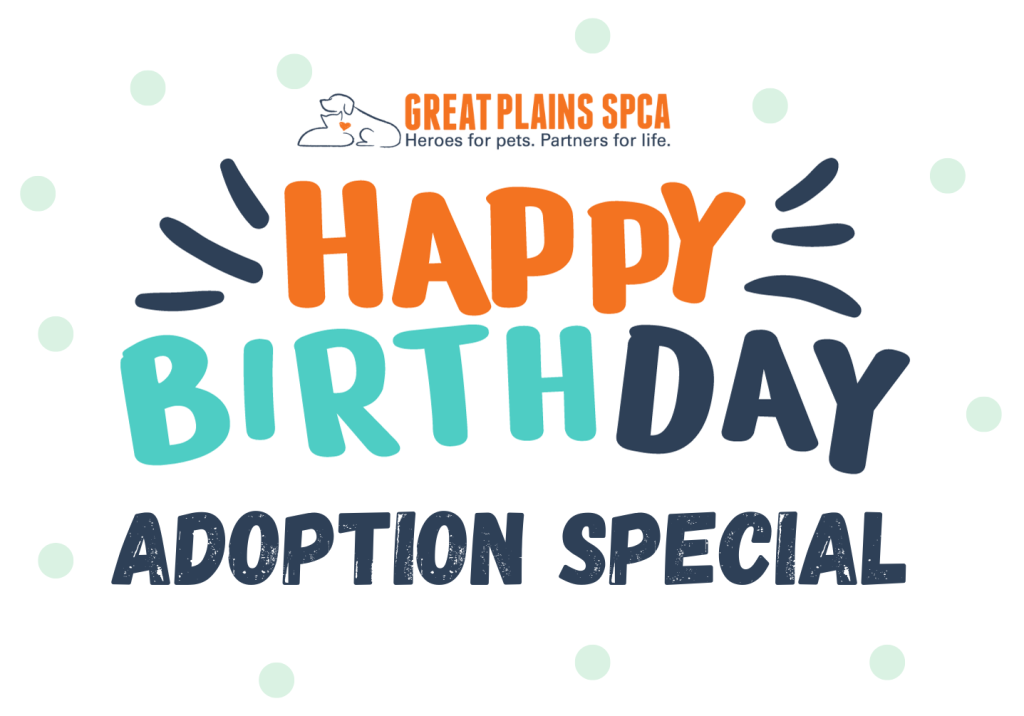 Happy Birthday Adoption Special