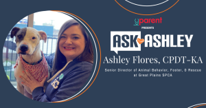 Ask Ashley