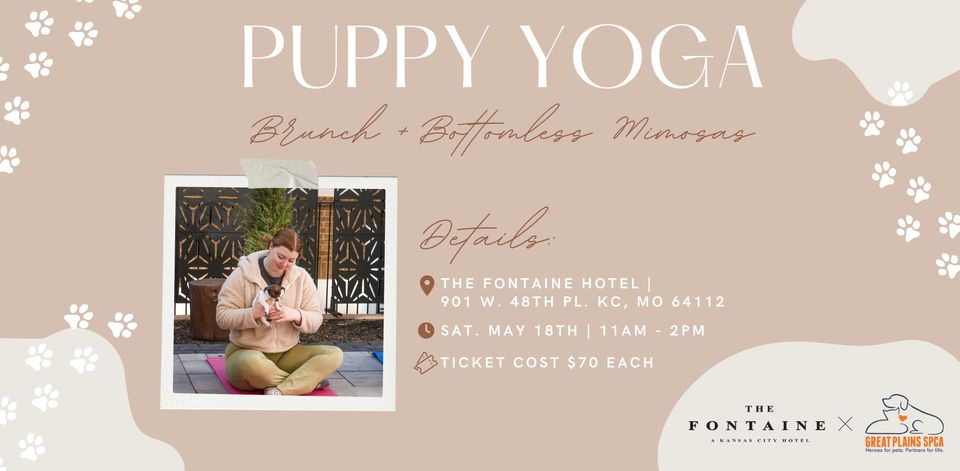 Puppy Yoga + Brunch + Bottomless Mimosas at The Fontaine