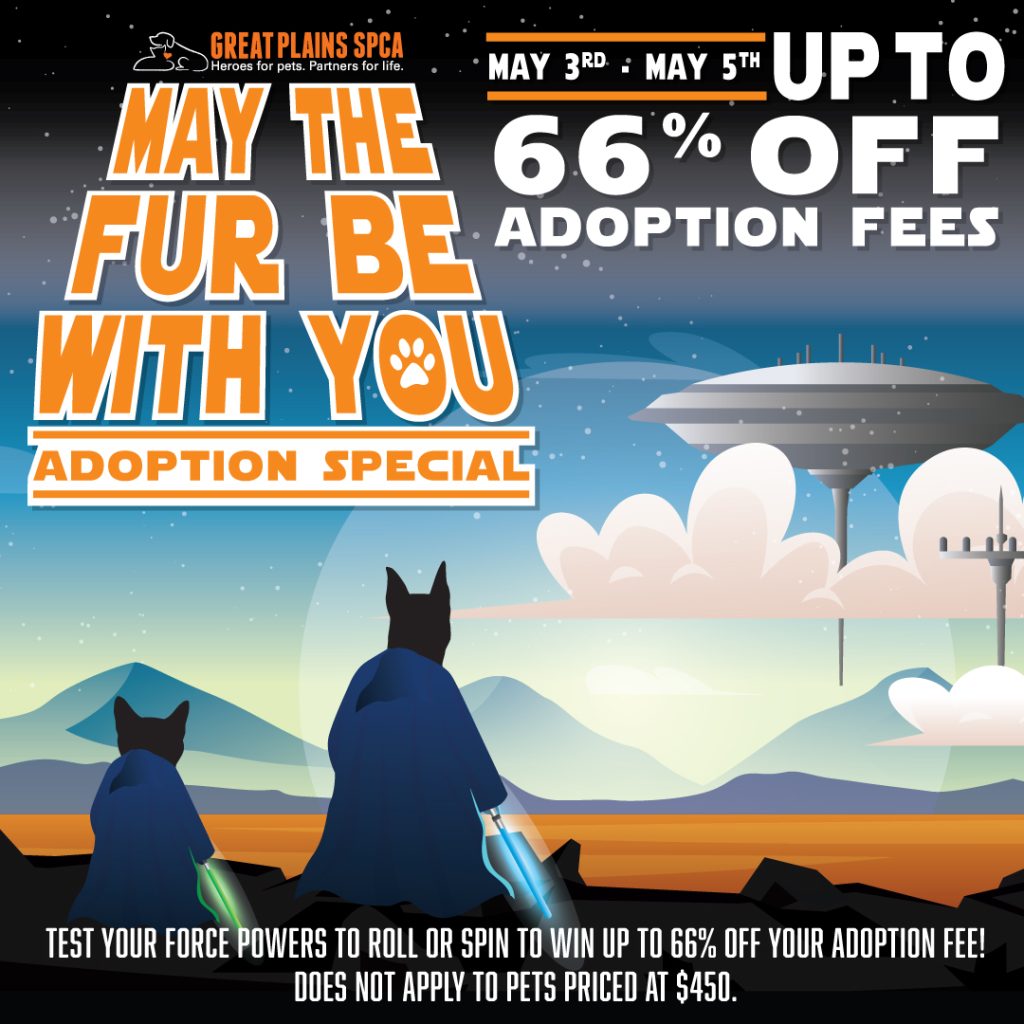 May The Fur Be With You Adoption Special