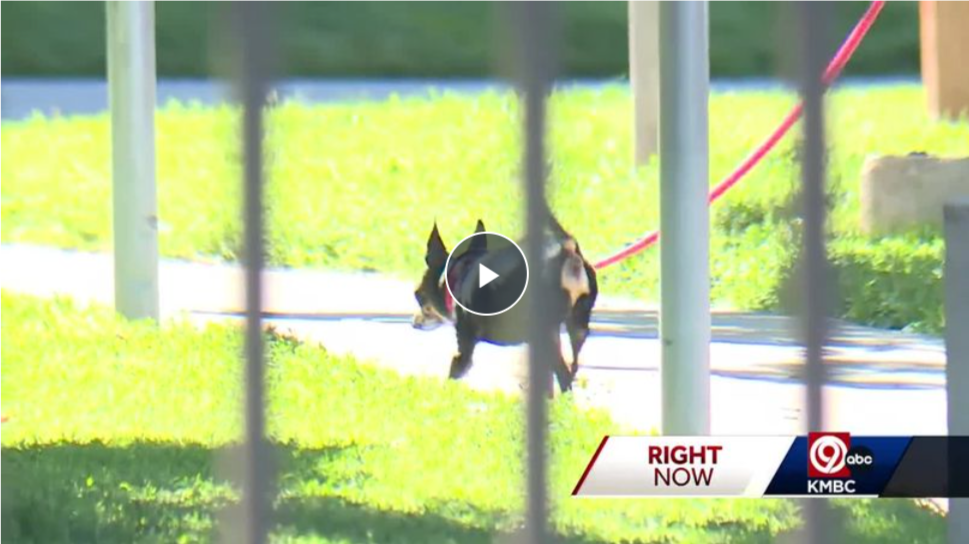KMBC Lucas feature