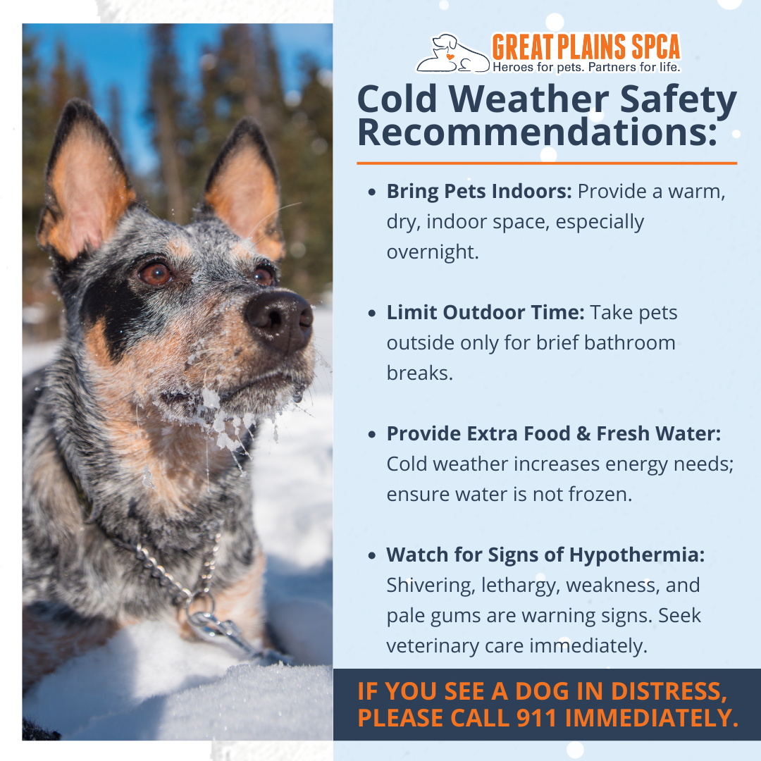 Cold Weather Safety