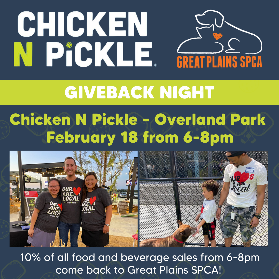 Chicken N Pickle Giveback