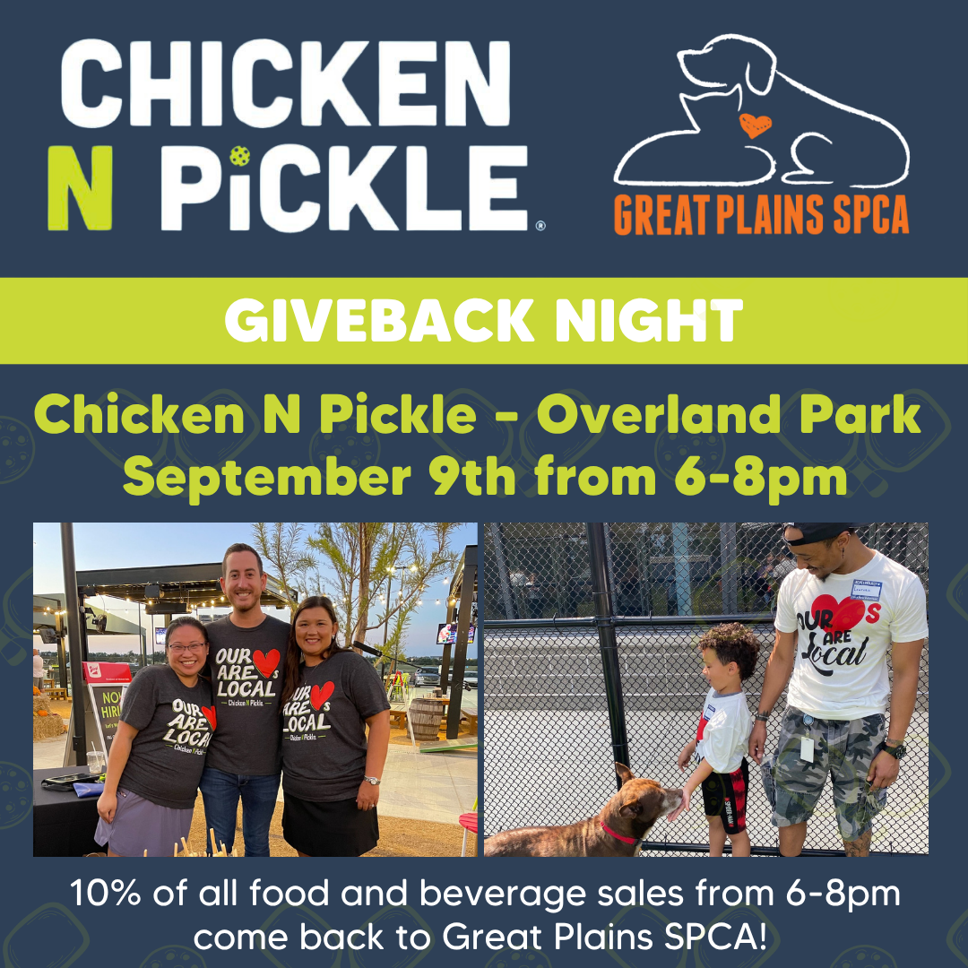 Chick N Pickle Giveback Night