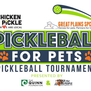 Pickleball For Pets