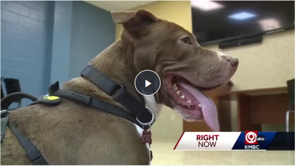 KMBC - Coffee Bean feature