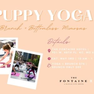 Puppy Yoga at The Fontaine
