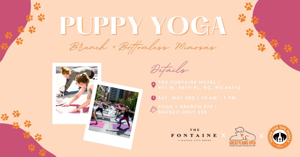 Puppy Yoga at The Fontaine