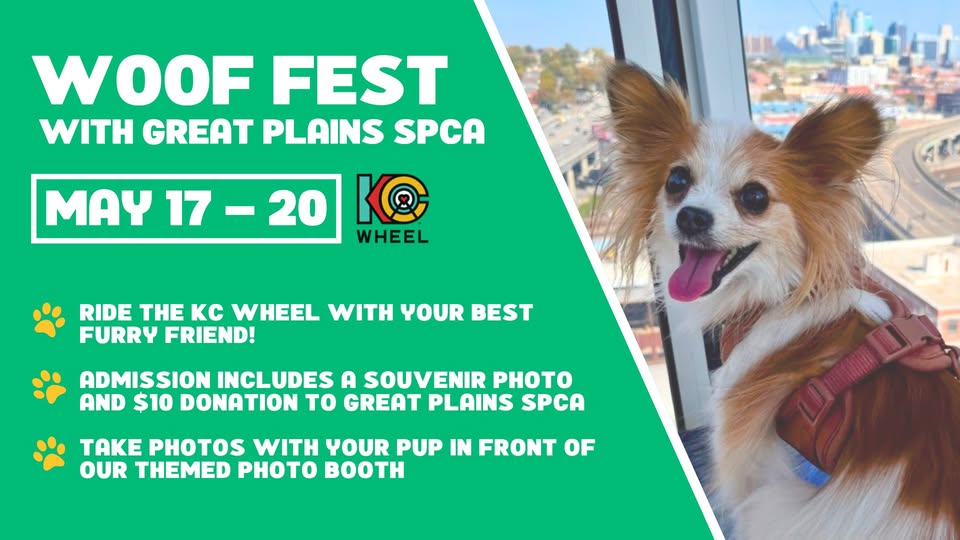 Woof Fest