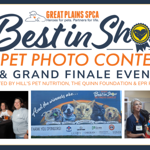 Best In Show 2025