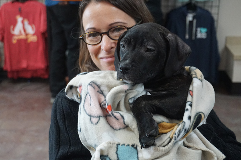 Johnson County Post - Great Plains SPCA