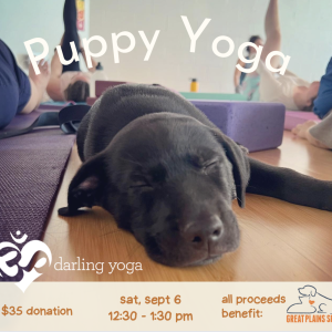 Darling Yoga