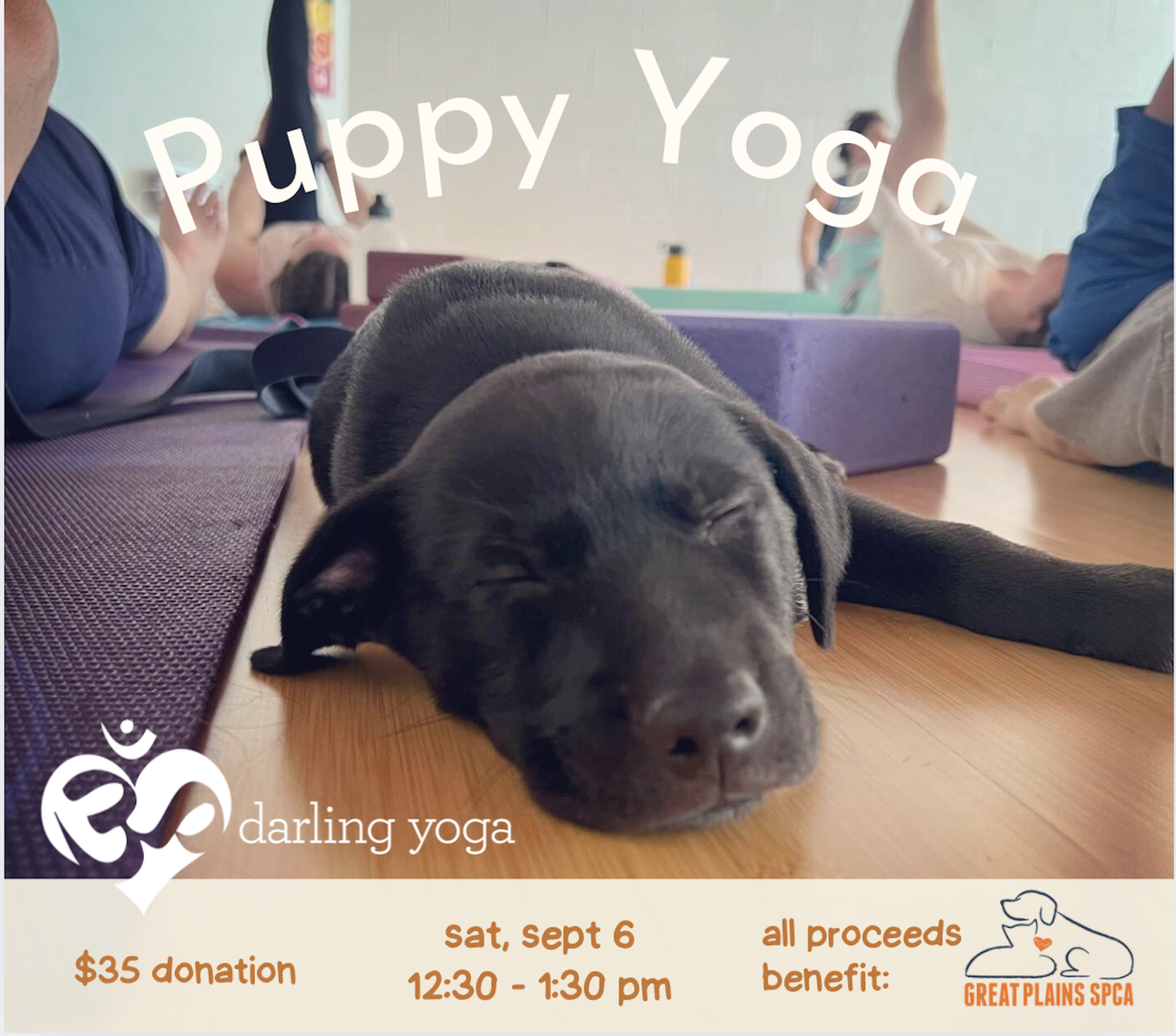 Darling Yoga