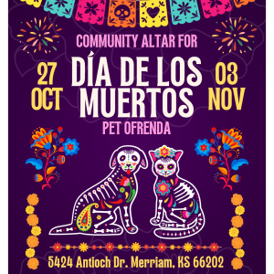 Dia De Los Muertos