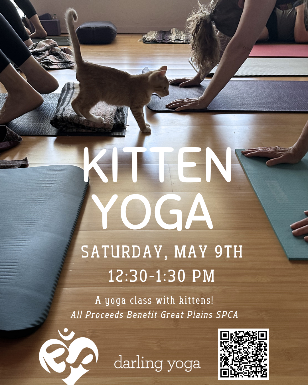 Kitten Yoga (Instagram Post (45))-2