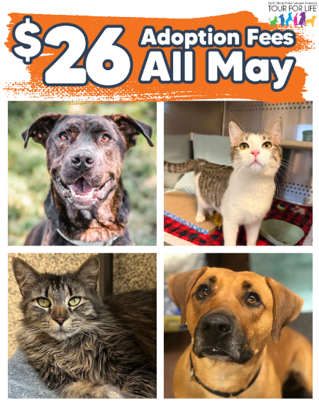 $26 ADOPTION FEES ALL MAY!
