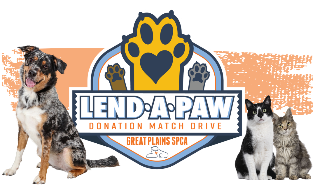 Lend A Paw 2026 Donation Drive