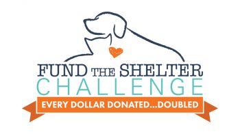 Fund The Shelter